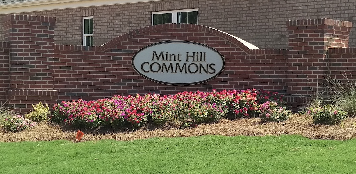 Mint Hill Commons, Pocket Cut Sign